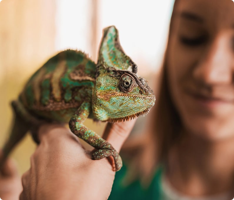 Rectangle 34626906-min